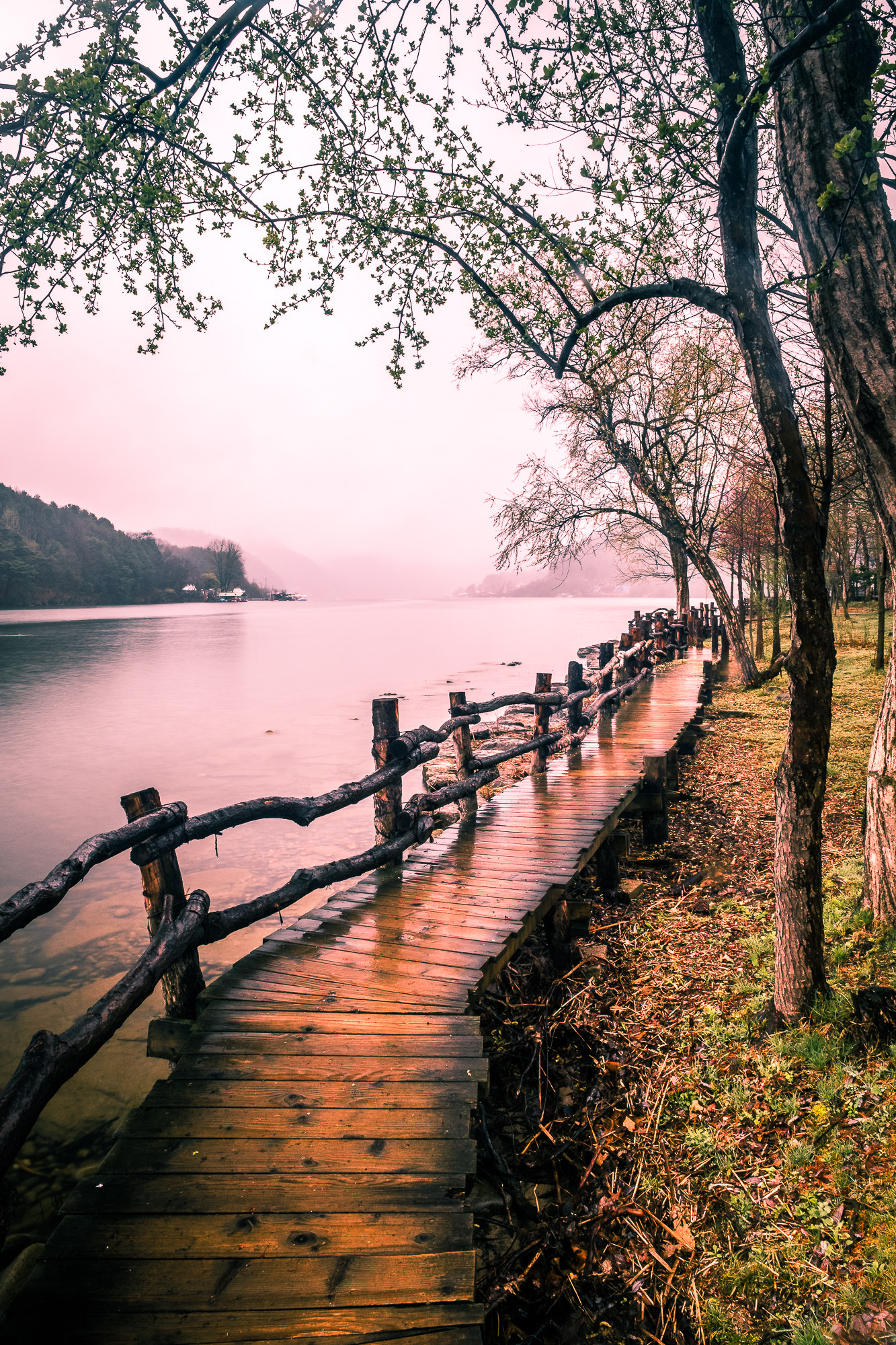 Lakeside path on Nami Island, a popular day trip from Seoul